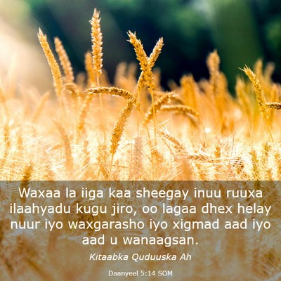 Picture 03 - Daanyeel 5:14 SOM - Waxaa la iiga kaa sheegay inuu ruuxa ilaahyadu - Bible Verse Picture