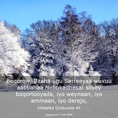 Picture 03 - Daanyeel 5:18 SOM - Boqorow, Ilaaha ugu Sarreeyaa wuxuu aabbahaa - Bible Verse Picture