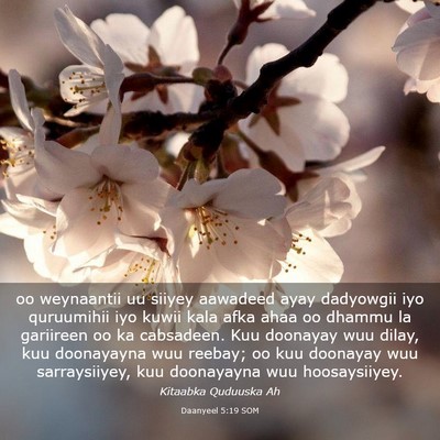 Picture 03 - Daanyeel 5:19 SOM - oo weynaantii uu siiyey aawadeed ayay dadyowgii - Bible Verse Picture