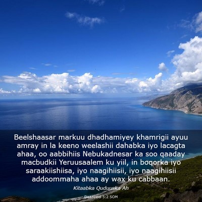 Picture 03 - Daanyeel 5:2 SOM - Beelshaasar markuu dhadhamiyey khamrigii ayuu - Bible Verse Picture