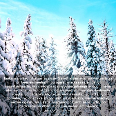 Picture 03 - Daanyeel 5:23 SOM - laakiinse waad iska sarraysiisay Sayidka samada; - Bible Verse Picture