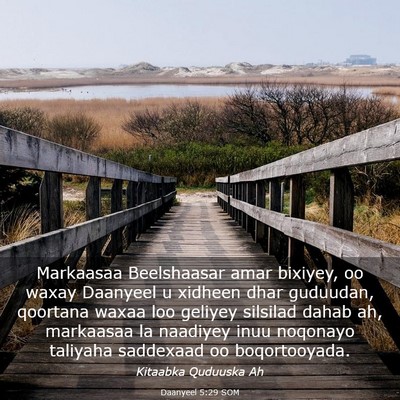 Picture 03 - Daanyeel 5:29 SOM - Markaasaa Beelshaasar amar bixiyey, oo waxay - Bible Verse Picture