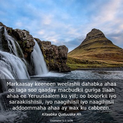 Picture 03 - Daanyeel 5:3 SOM - Markaasay keeneen weelashii dahabka ahaa oo laga - Bible Verse Picture