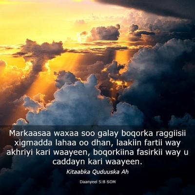 Picture 03 - Daanyeel 5:8 SOM - Markaasaa waxaa soo galay boqorka raggiisii - Bible Verse Picture