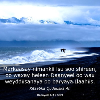 Picture 03 - Daanyeel 6:11 SOM - Markaasay nimankii isu soo shireen, oo waxay - Bible Verse Picture