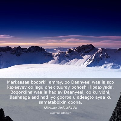 Picture 03 - Daanyeel 6:16 SOM - Markaasaa boqorkii amray, oo Daanyeel waa la soo - Bible Verse Picture