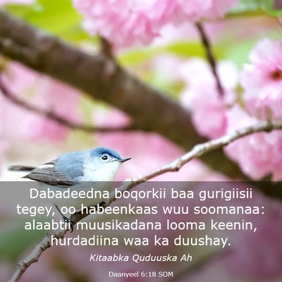 Picture 03 - Daanyeel 6:18 SOM - Dabadeedna boqorkii baa gurigiisii tegey, oo - Bible Verse Picture