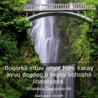 Picture 03 - Daanyeel 6:19 SOM - Boqorkii intuu aroor hore kacay ayuu degdeg u - Bible Verse Picture