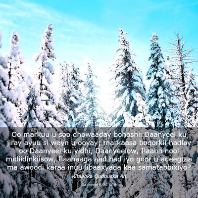 Picture 03 - Daanyeel 6:20 SOM - Oo markuu u soo dhowaaday bohoshii Daanyeel ku - Bible Verse Picture