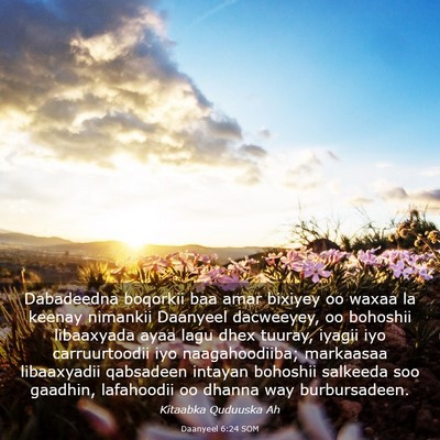 Picture 03 - Daanyeel 6:24 SOM - Dabadeedna boqorkii baa amar bixiyey oo waxaa la - Bible Verse Picture