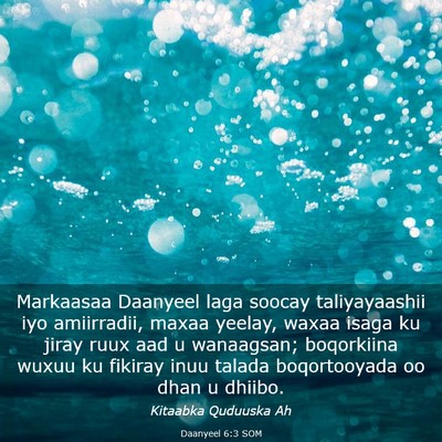 Picture 03 - Daanyeel 6:3 SOM - Markaasaa Daanyeel laga soocay taliyayaashii iyo - Bible Verse Picture