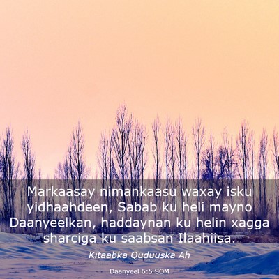 Picture 03 - Daanyeel 6:5 SOM - Markaasay nimankaasu waxay isku yidhaahdeen, - Bible Verse Picture