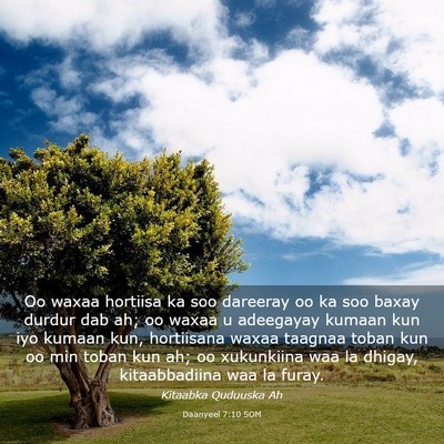 Picture 03 - Daanyeel 7:10 SOM - Oo waxaa hortiisa ka soo dareeray oo ka soo baxay - Bible Verse Picture