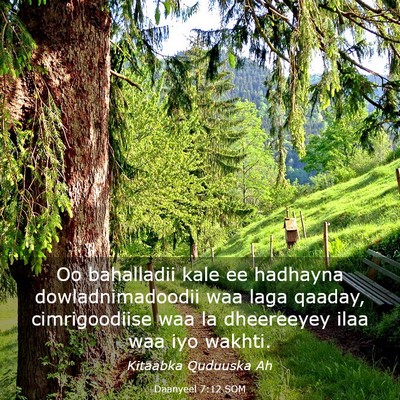 Picture 03 - Daanyeel 7:12 SOM - Oo bahalladii kale ee hadhayna dowladnimadoodii - Bible Verse Picture
