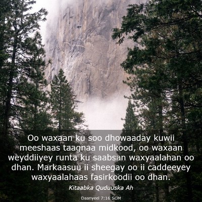 Picture 03 - Daanyeel 7:16 SOM - Oo waxaan ku soo dhowaaday kuwii meeshaas taagnaa - Bible Verse Picture