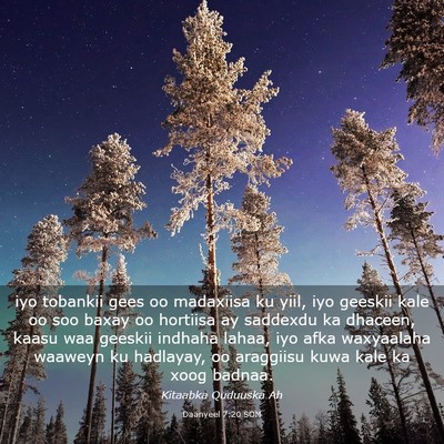 Picture 03 - Daanyeel 7:20 SOM - iyo tobankii gees oo madaxiisa ku yiil, iyo - Bible Verse Picture
