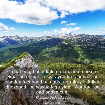 Picture 03 - Daanyeel 7:5 SOM - Oo bal eeg, bahal kale oo labaad oo orso u ekaa, - Bible Verse Picture