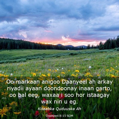 Picture 03 - Daanyeel 8:15 SOM - Oo markaan anigoo Daanyeel ah arkay riyadii ayaan - Bible Verse Picture