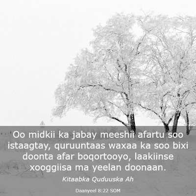Picture 03 - Daanyeel 8:22 SOM - Oo midkii ka jabay meeshii afartu soo istaagtay, - Bible Verse Picture