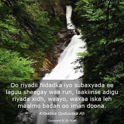 Picture 03 - Daanyeel 8:26 SOM - Oo riyadii fiidadka iyo subaxyada ee laguu - Bible Verse Picture