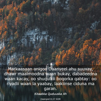 Picture 03 - Daanyeel 8:27 SOM - Markaasaan anigoo Daanyeel ahu suuxay, dhawr - Bible Verse Picture