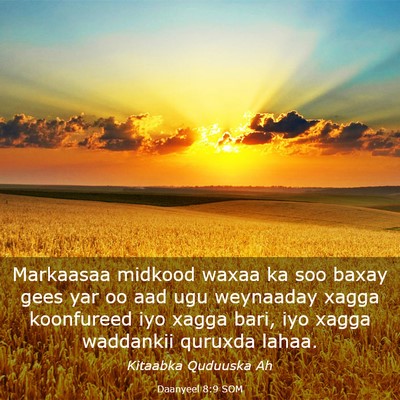 Picture 03 - Daanyeel 8:9 SOM - Markaasaa midkood waxaa ka soo baxay gees yar oo - Bible Verse Picture