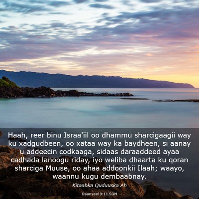 Picture 03 - Daanyeel 9:11 SOM - Haah, reer binu Israa'iil oo dhammu sharcigaagii - Bible Verse Picture