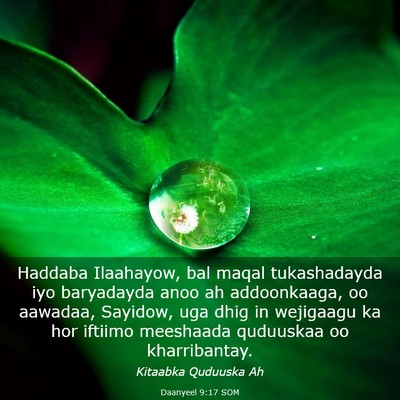 Picture 03 - Daanyeel 9:17 SOM - Haddaba Ilaahayow, bal maqal tukashadayda iyo - Bible Verse Picture