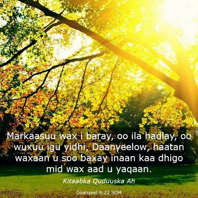 Picture 03 - Daanyeel 9:22 SOM - Markaasuu wax i baray, oo ila hadlay, oo wuxuu - Bible Verse Picture