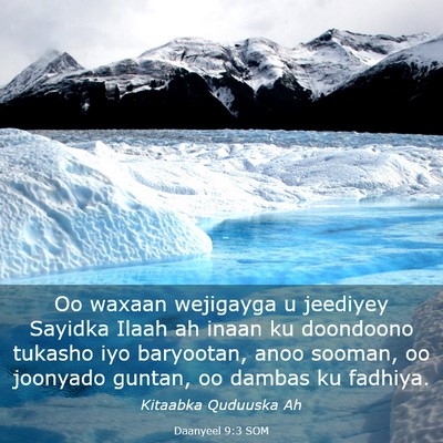 Picture 03 - Daanyeel 9:3 SOM - Oo waxaan wejigayga u jeediyey Sayidka Ilaah ah - Bible Verse Picture