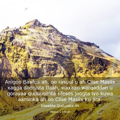 Picture 03 - Efesos 1:1 SOM - Anigoo Bawlos ah, oo rasuul u ah Ciise Masiix - Bible Verse Picture