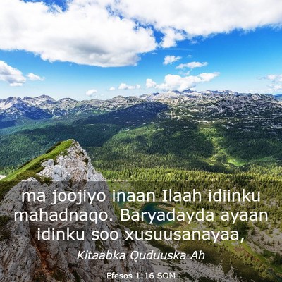 Picture 03 - Efesos 1:16 SOM - ma joojiyo inaan Ilaah idiinku mahadnaqo. - Bible Verse Picture