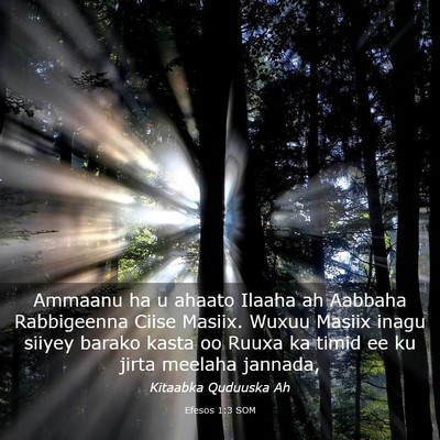 Picture 03 - Efesos 1:3 SOM - Ammaanu ha u ahaato Ilaaha ah Aabbaha Rabbigeenna - Bible Verse Picture