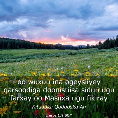 Picture 03 - Efesos 1:9 SOM - oo wuxuu ina ogeysiiyey qarsoodiga doonistiisa - Bible Verse Picture