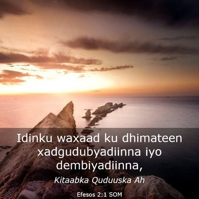 Picture 03 - Efesos 2:1 SOM - Idinku waxaad ku dhimateen xadgudubyadiinna iyo - Bible Verse Picture