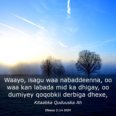 Picture 03 - Efesos 2:14 SOM - Waayo, isagu waa nabaddeenna, oo waa kan labada - Bible Verse Picture
