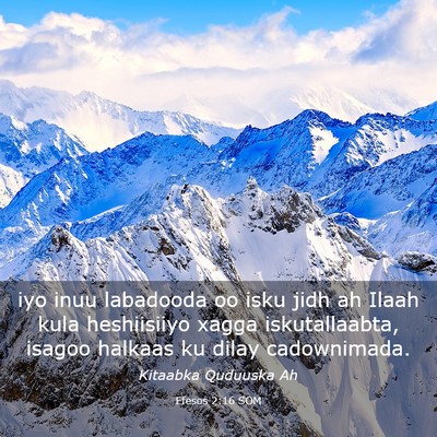 Picture 03 - Efesos 2:16 SOM - iyo inuu labadooda oo isku jidh ah Ilaah kula - Bible Verse Picture