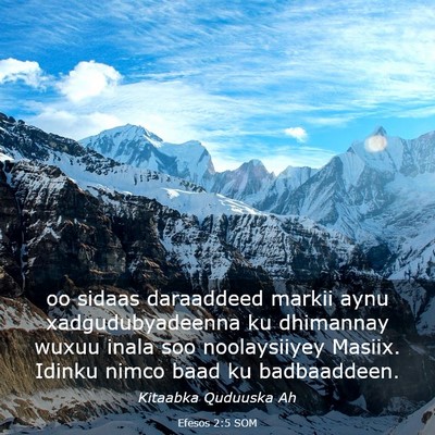 Picture 03 - Efesos 2:5 SOM - oo sidaas daraaddeed markii aynu xadgudubyadeenna - Bible Verse Picture