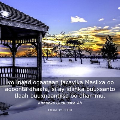 Picture 03 - Efesos 3:19 SOM - iyo inaad ogaataan jacaylka Masiixa oo aqoonta - Bible Verse Picture