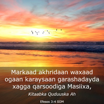 Picture 03 - Efesos 3:4 SOM - Markaad akhridaan waxaad ogaan karaysaan - Bible Verse Picture
