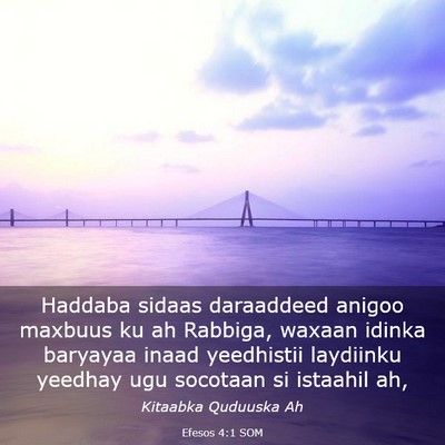 Picture 03 - Efesos 4:1 SOM - Haddaba sidaas daraaddeed anigoo maxbuus ku ah - Bible Verse Picture