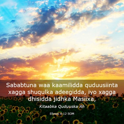Picture 03 - Efesos 4:12 SOM - Sababtuna waa kaamilidda quduusiinta xagga - Bible Verse Picture