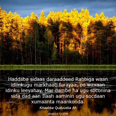 Picture 03 - Efesos 4:17 SOM - Haddaba sidaas daraaddeed Rabbiga waan idiinkugu - Bible Verse Picture