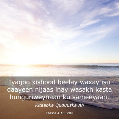 Picture 03 - Efesos 4:19 SOM - Iyagoo xishood beelay waxay isu daayeen nijaas - Bible Verse Picture