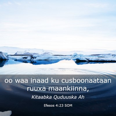 Picture 03 - Efesos 4:23 SOM - oo waa inaad ku cusboonaataan ruuxa - Bible Verse Picture