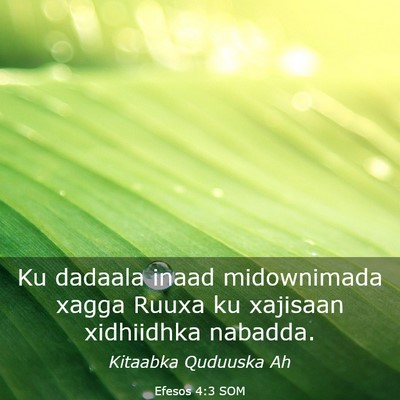 Picture 03 - Efesos 4:3 SOM - Ku dadaala inaad midownimada xagga Ruuxa ku - Bible Verse Picture