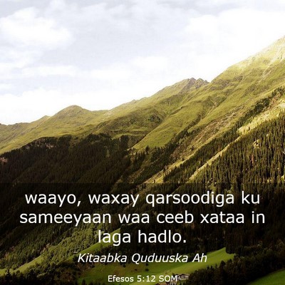 Picture 03 - Efesos 5:12 SOM - waayo, waxay qarsoodiga ku sameeyaan waa ceeb - Bible Verse Picture