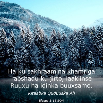 Picture 03 - Efesos 5:18 SOM - Ha ku sakhraamina khamriga rabshadu ku jirto, - Bible Verse Picture