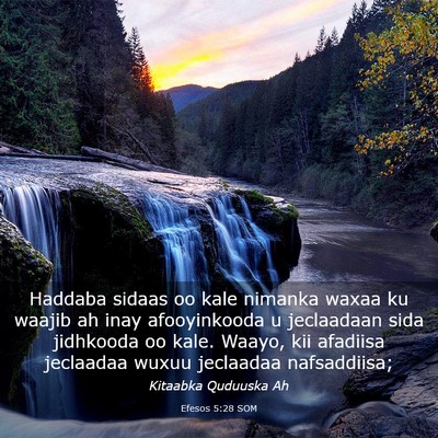 Picture 03 - Efesos 5:28 SOM - Haddaba sidaas oo kale nimanka waxaa ku waajib ah - Bible Verse Picture
