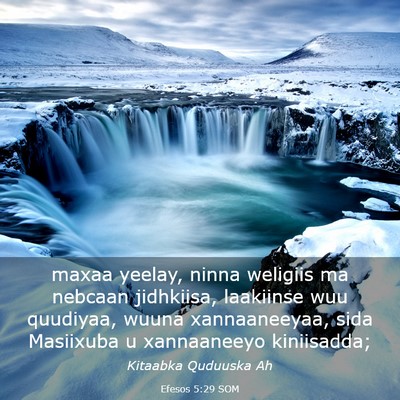 Picture 03 - Efesos 5:29 SOM - maxaa yeelay, ninna weligiis ma nebcaan - Bible Verse Picture